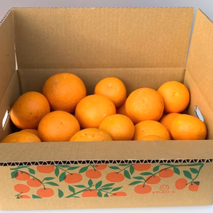 [しもつうまれ]木なり清見・4月採り[家庭用]5kg箱