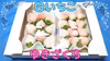 希少な白いちご「ゆきざくら」（ホワイトスター）約２６０g×２パック