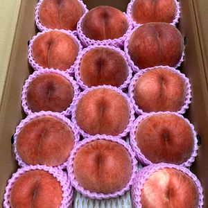 ※注意硬い桃です※　昨年大好評のとっても硬い桃『おどろき』