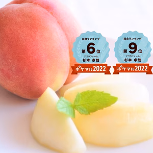 【今シーズン最後】 じゅわ～っと甘さ溢れる 桃 品種おまかせ ご家庭用