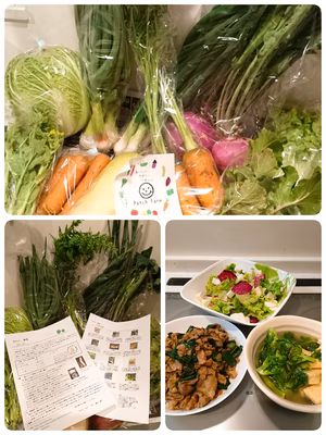 みんなの投稿の画像