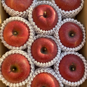 【贈答用】 完熟サンふじ 約3kg 蜜入り良好です！