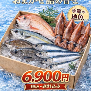 天草の離島　御所浦島産　鮮魚ボックス