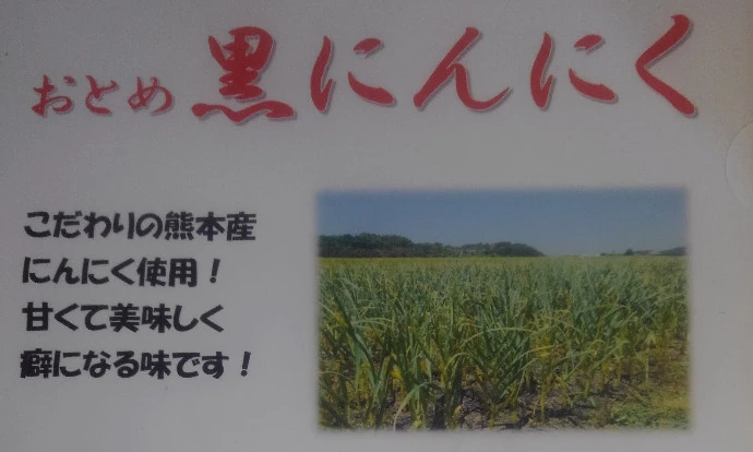 ☆訳あり☆ おとめ黒にんにく700㌘ (熊本産  農薬･化学肥料不使用) 