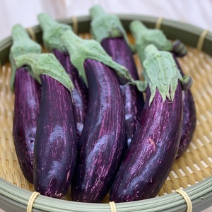 とろっとあまいゼブラ茄子1kgセット