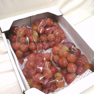 　【訳有り】マイハート2kg
