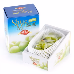 フルーツ王国・岡山県産シャインマスカット　1房入り(化粧箱入り）