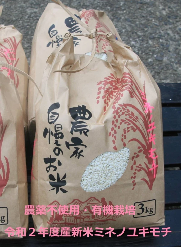 令和２年度産自然栽培ミネノユキモチ(餅米)