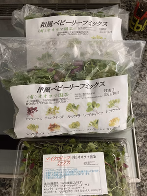 みんなの投稿の画像