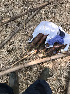 みんなの投稿の画像