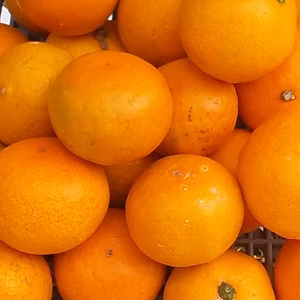 【訳あり】ゆらみかん小粒(糖度11度)3kg和歌山産