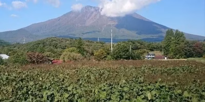 【つながるポケ○（マル）日記】南部片富士の麓から届けるメッセージー大豆農家 加藤淳さんー