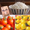 今だけ！ミルキー米＆ミニトマト大人気の品種２種類セット