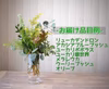 期間限定✳︎緑のある暮らし✳︎オージープランツセット【6〜7品目計10本】