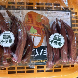 栽培期間中農薬不使用　赤オクラ　ベニー　泉州産