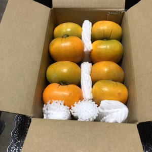 旬の美味しさ❗️ 訳ありたねなし柿　小箱　8〜9個入り＜柿チャレンジ＞