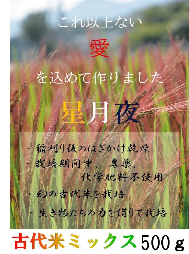 赤米・緑米ミックス各500ｇ食べ比べ玄米セット 無農薬米 値頃 - 米