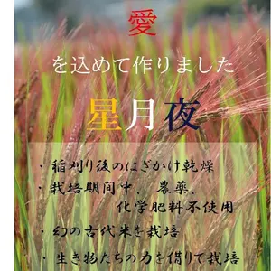 古代米ミックス500g玄米　たけ爺ブランド米（星月夜）無化学肥料・無農薬栽培