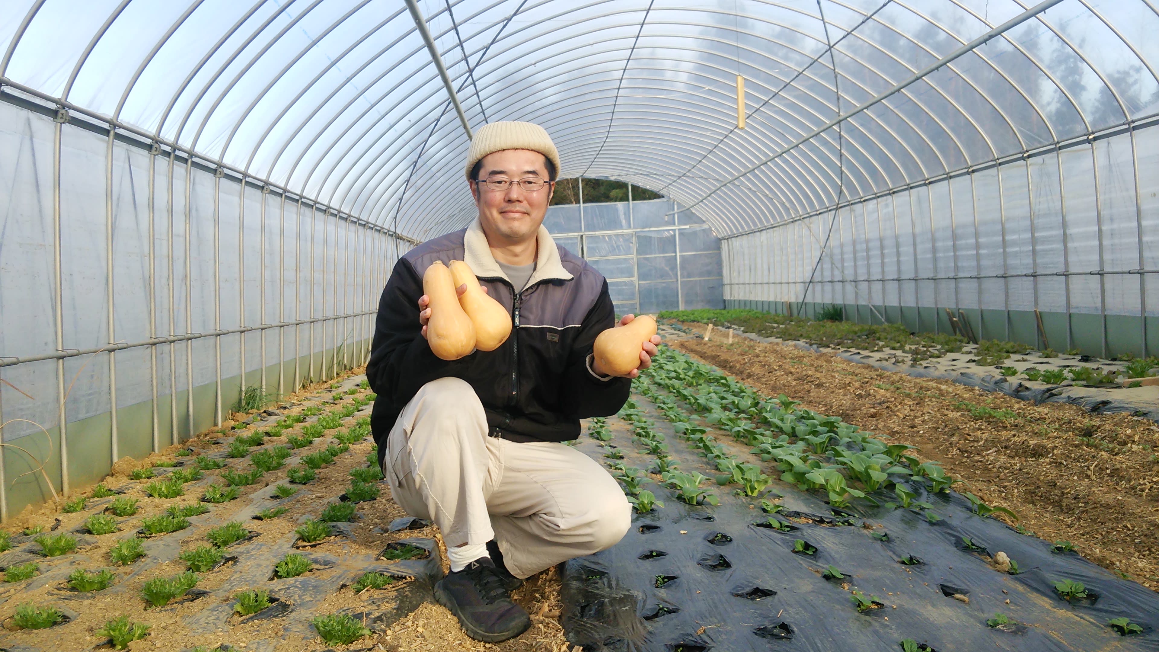 空芯菜の通販・お取り寄せ商品｜野菜｜ポケットマルシェ｜産地