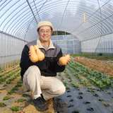 和久田行哉 | 和久田農園