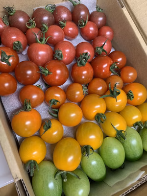 みんなの投稿の画像