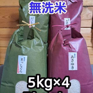 送料無料‼️令和5年青森県産無洗米まっしぐら&あさゆき各5kg×2