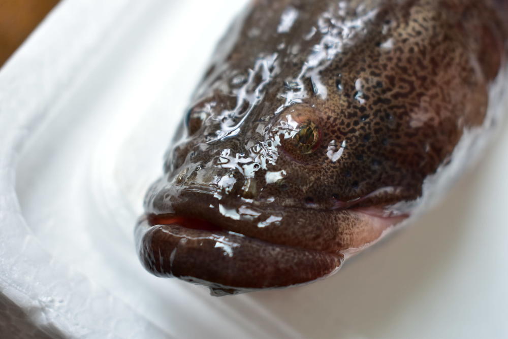 謎の魚 ナガヅカ の食べ方考案チャレンジ 美味メニューベスト3はこれだ 農家漁師から産地直送の通販 ポケットマルシェ