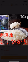 コシヒカリゴールド10kg(白米) 　　令和二年産