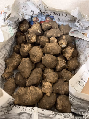 みんなの投稿の画像