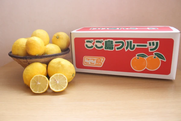 ＜家庭用＞レモン1.2~5kg