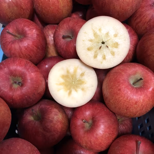 パリッとジューシー『サンふじ』　贈答スタンダード品