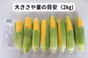 【生でかじるとうもろこし】ご家庭用ミエルコーン【シャキ粒、たっぷり果汁】