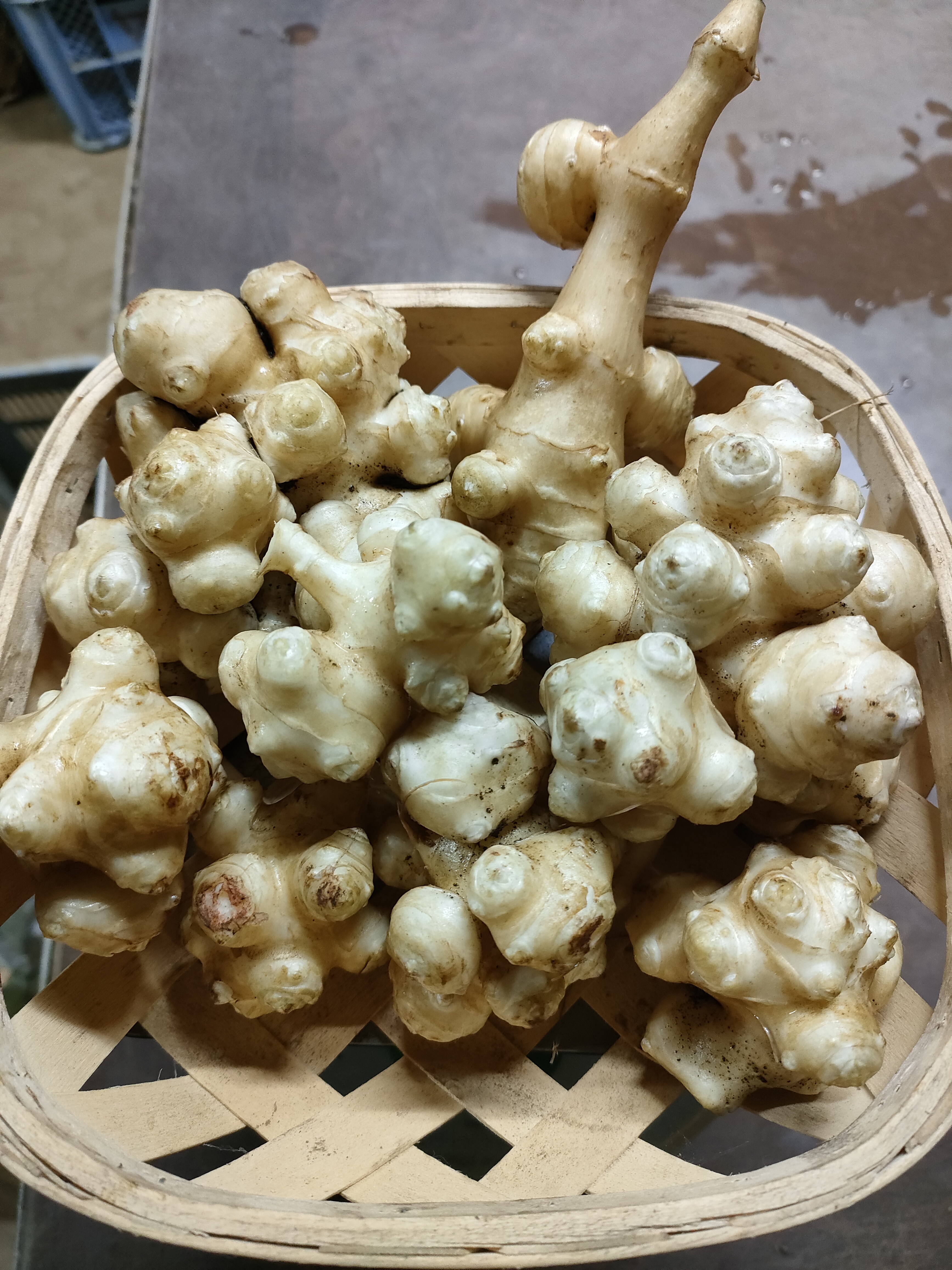 菊芋の通販・お取り寄せ商品｜野菜｜ポケットマルシェ｜産地直送で旬の