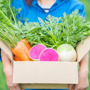 ★みらい畑セット★旬の冬野菜を箱いっぱいにお届けします！