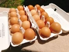 【環境省公認】走る鶏の放牧卵　お多福たまご【２パック／２０個入】