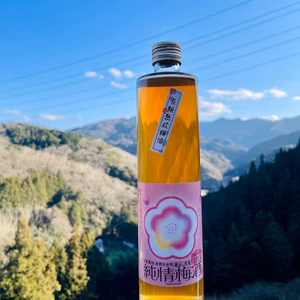 長期熟成から目醒めた甘口梅酒「長期熟成 純情梅酒」500ｍｌ　度数21度