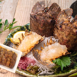 【数量限定】エビ通に人気のゾウリエビ（宮崎産｜１kg〜）