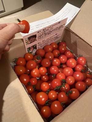 みんなの投稿の画像