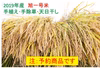 【無肥料無農薬天日干し】2019年産　旭一号　新米玄米