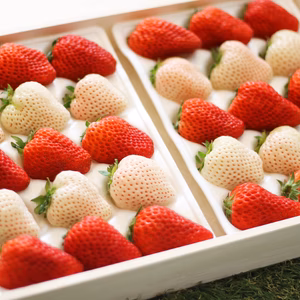 ★☆贈答用に★紅白いちごプレミアムギフトセット（天使のいちご・紅ほっぺ）