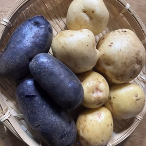 新じゃが　3種　食べくらべ