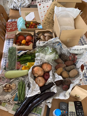 みんなの投稿の画像