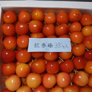 さくらんぼ大将錦と紅秀峰