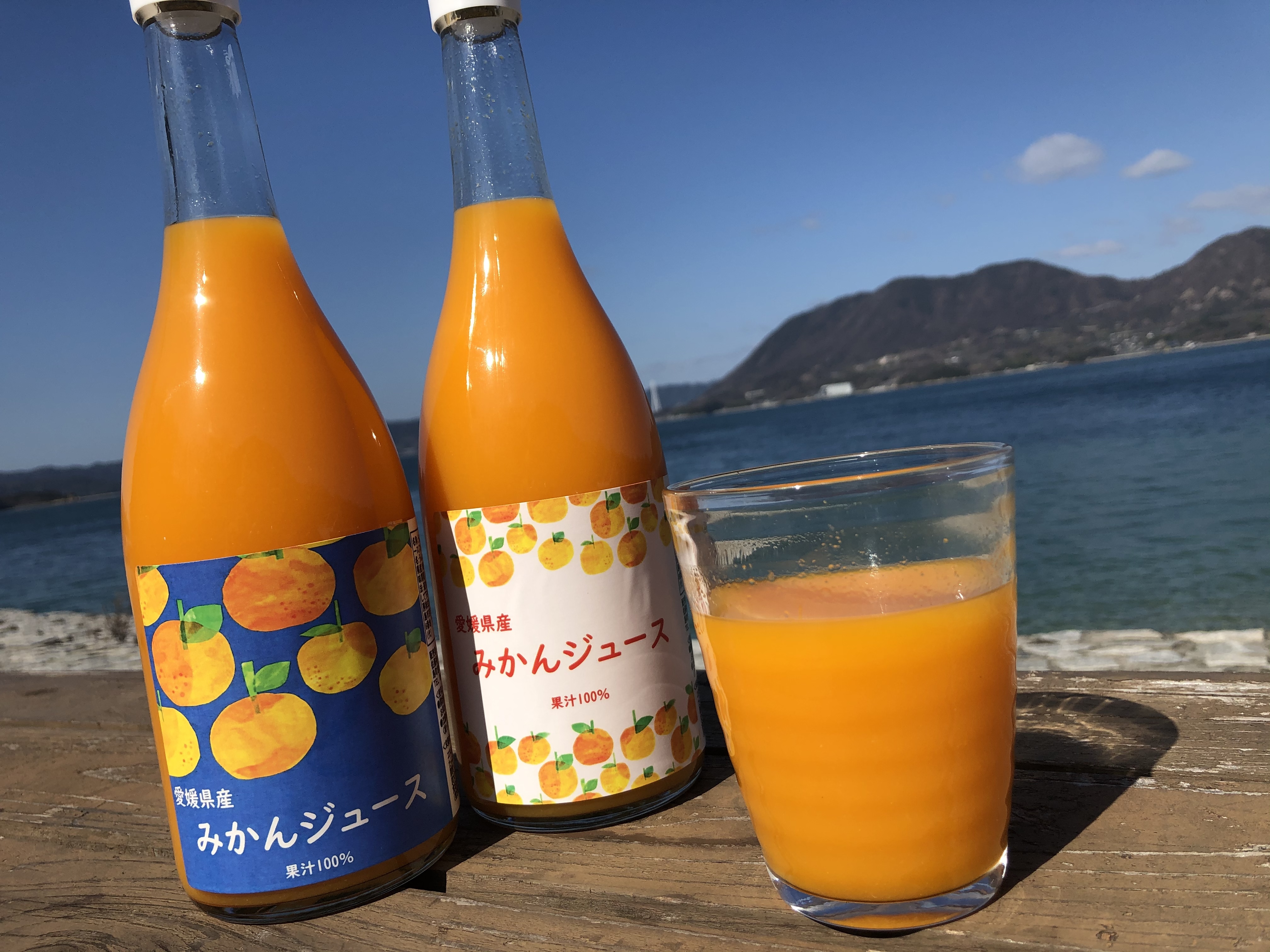 愛媛県産 ブラッドオレンジジュース みかんジュース 果汁100 超人気 専門店