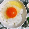 のびのび平飼い　赤鶏のたまご
