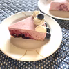 【予約　6月発送】お得用　完熟ブルーベリー　(250g×2パック)