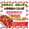 ☆ゲリラSALE中☆ご家庭用さくらんぼ　オススメ品種をセレクトで朝採り発送‼
