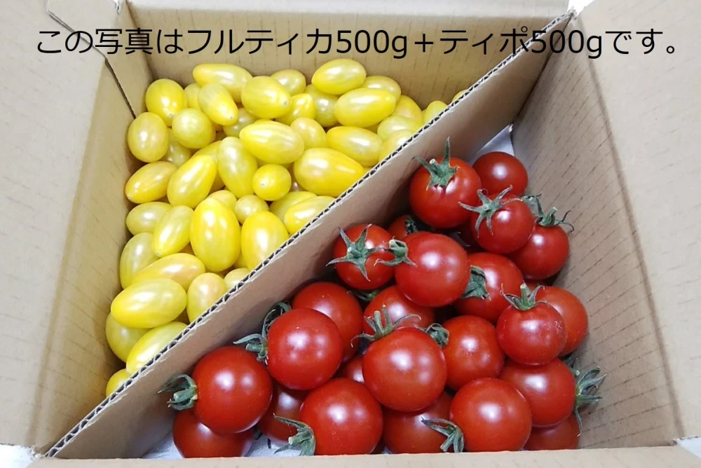 常温便毎月20日～月末にお届け10％増量おいしい甘ーいフルティカとティポ