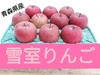 【予約】雪室りんご 青森県産サンふじ（2021年3月よりお届け）