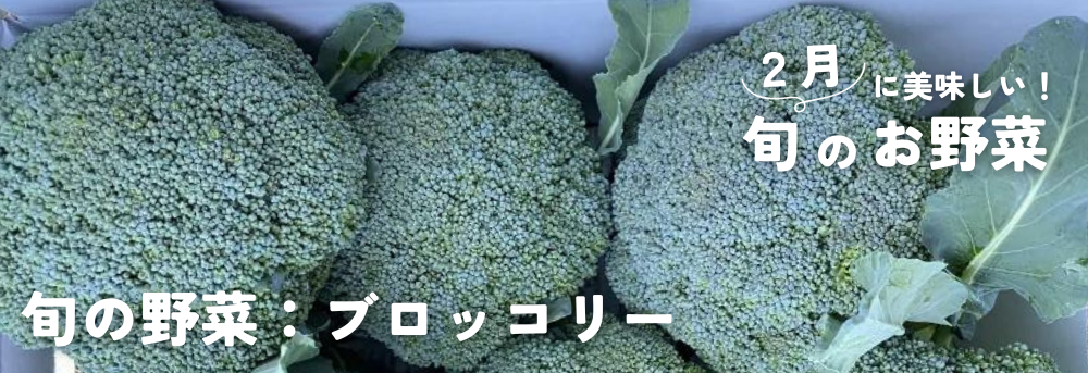 ２月に旬の果物：ブロッコリー